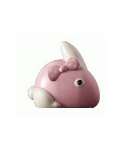 lapin design