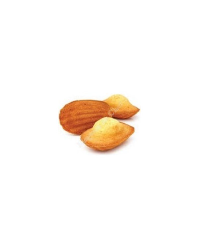 Elastomoule madeleines 9 empreintes