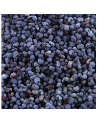 Graines de sesame 1 Kg
