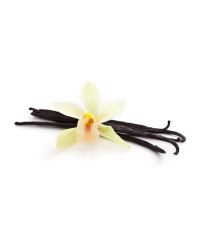 Gousses de vanille Bourbon 18/20 cm de 250 GR