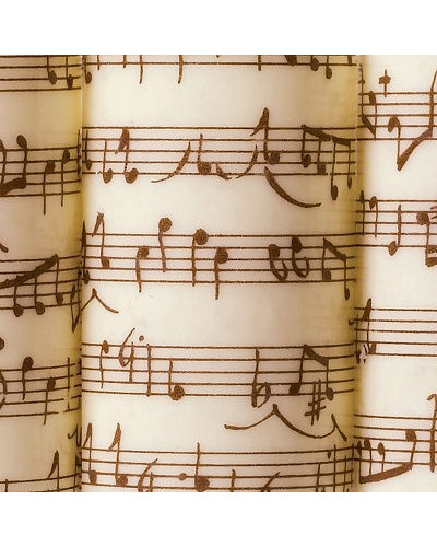 10 feuilles de transfert chocolat Notes de musique