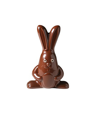 Moule pour chocolat grand lapin Barry