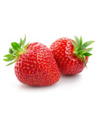 Purée de fraise Léonce Blanc 1kg