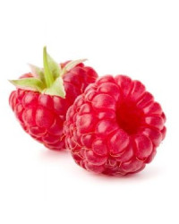 Purée de framboise Léonce Blanc 1kg