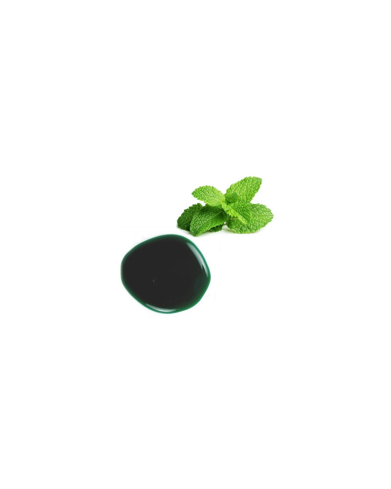 Pâte aromatique à la menthe en pot 1,2 kg