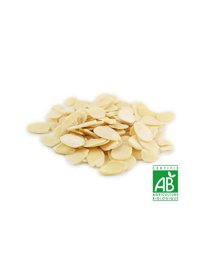 Amandes effilées BIO 1 kg