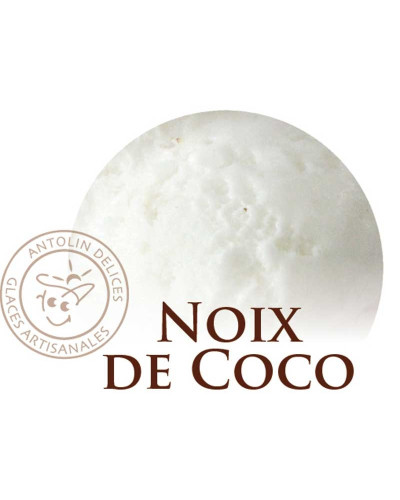 Crème glacée noix de coco Antolin 2,5 Litre