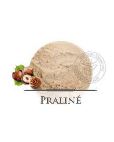 Crème glacée praliné Antolin 2,5 Litre