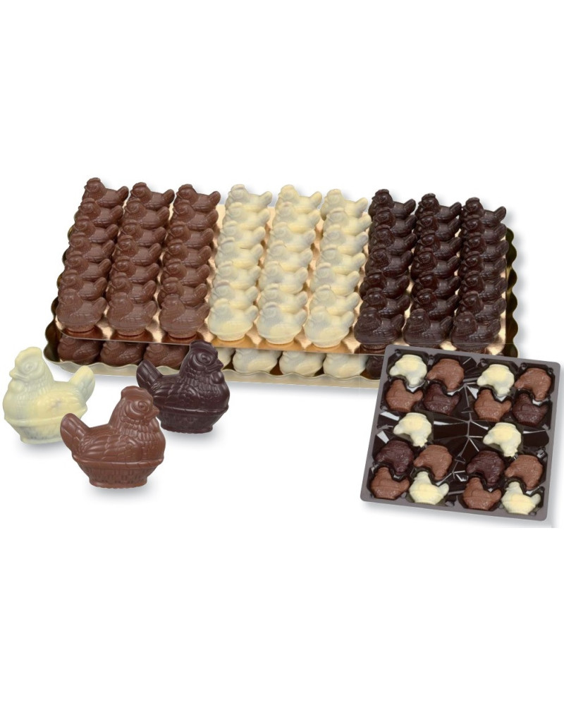 18 petites poules de paques en chocolat