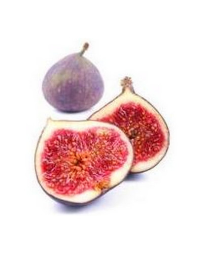 Figues violettes Capfuit surgelées par 1kg