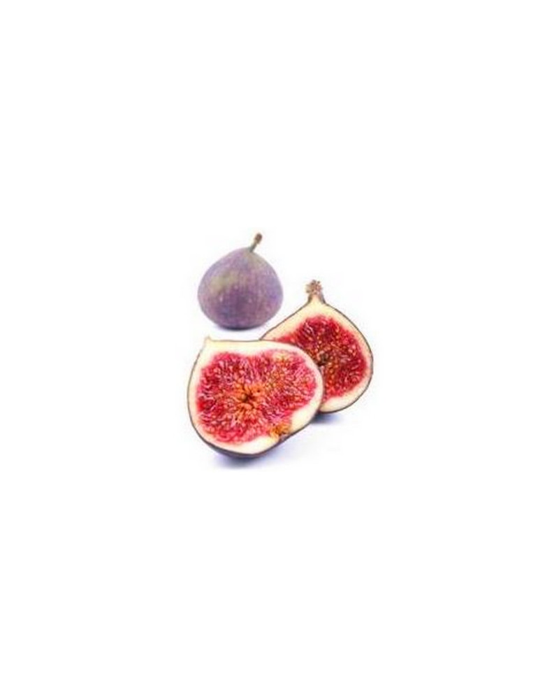 Figues violettes Capfuit surgelées par 1kg