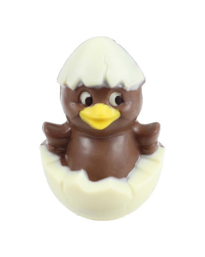 Moule pour chocolat 8 poules couveuses pâques