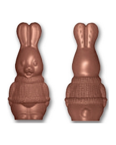 Moule pour chocolat lapin avec pull Pâques