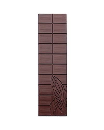 Moule pour chocolat tablette longue 100gr Barry n°179