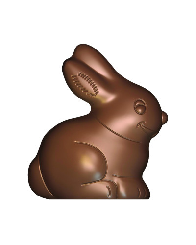 Moule pour chocolat lapin sourire pâques