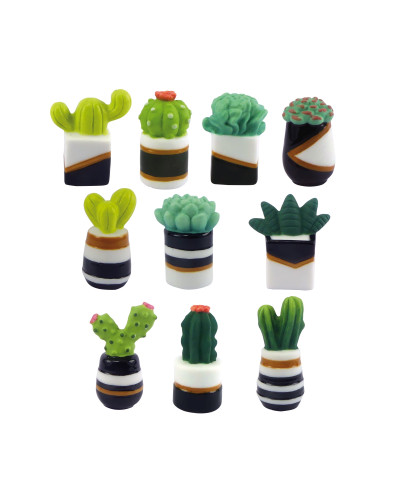 Collections de fèves SUCCULENTS CACTUS