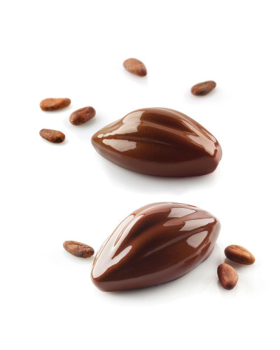 Moule silicone 6 cabosses cacao