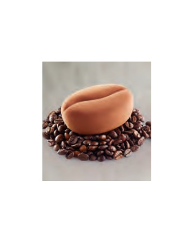 Moule Pavoflex 12 grains de café