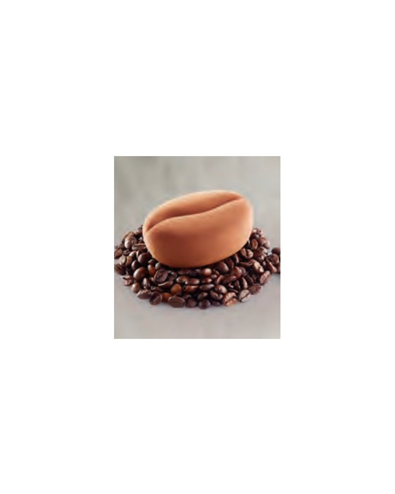 Moule Pavoflex 12 grains de café