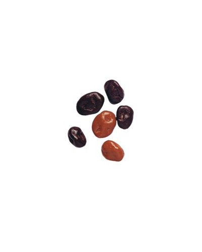 Chocoraisin noir Pécou en 1Kg