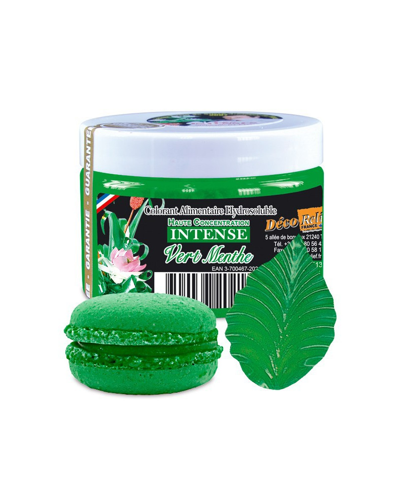 Colorant intense vert menthe (50gr) Déco Relief